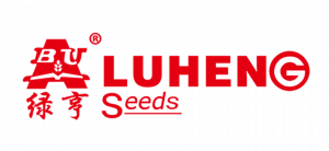  Luheng Seeds 