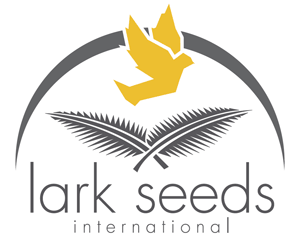 Lark Seeds 