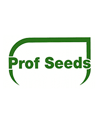 Prof Seeds 