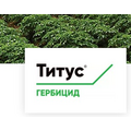  Титус, СТС - гербицид от сорняков для картофеля и овощей, 100 г, Corteva, фото 1 