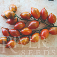 Бриано F1 - семена томатов черри, 100 семян, River Seeds, фото 1 
