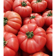 Leroxy F1 (172-570) - семена томатов, 1 000 семян, Yuksel/Юксел (Турция), фото 1 