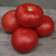  Зерси F1 (КибоF1) - семена томатов, Kitano seeds/Китано сидз (Япония), фото 1 