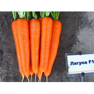  Лагуна F1 - семена моркови, (фр. от 1,6 до 2,0 мм), Nunhems/Нунемс (Голландия), фото 1 