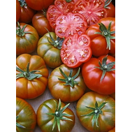  Ребелион F1 – томат индетерминантный, 500 семян, Vilmorin (Вильморин), Франция, фото 1 