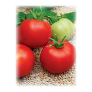  Ляна - семена томатов, 50 гр, Поиск (Россия), фото 1 