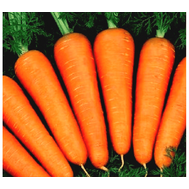  Абако F1 - семена моркови, 1 000 000 семян, (фр. от 1,6 до 2,0 и выше), Seminis/Семинис (Голландия), фото 1 