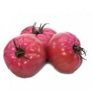  Гюсто F1 - семена томатов, 500 семян, Yuksel/Юксел (Турция), фото 1 