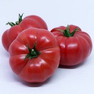  Сонароза F1 - семена томатов, 500 семян, Yuksel/Юксел (Турция), фото 1 