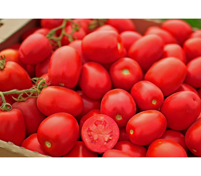  Петраросса F1 - томат детерминантный, 5 000 семян, Clause/Клаус (Франция), фото 2 