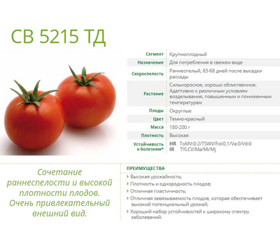  СВ 5215 ТД F1 - томат детерминантный, 1 000 семян, Seminis/Семинис (Голландия), фото 2 