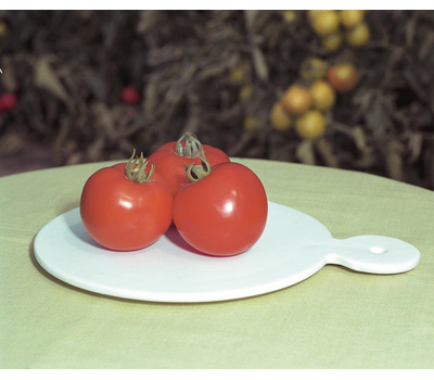  Полфаст F1 - томат детерминантный, 1 000 семян,  Bejo/Бейо (Голландия), фото 2 
