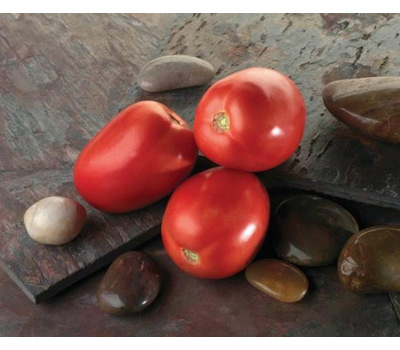  Диаболик F1- семена томатов, 1 000 семян, Sakata Seeds/Саката сидз (Япония), фото 6 