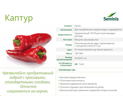  Каптур F1 - семена перца сладкого, 500 и 1 000 семян, Seminis/Семинис (Голландия), фото 2 
