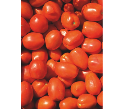  Монти F1 - томат детерминантный, от 1 000 до 25 000 семян, Seminis/Семинис (Голландия), фото 2 