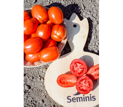  Монти F1 - томат детерминантный, от 1 000 до 25 000 семян, Seminis/Семинис (Голландия), фото 3 