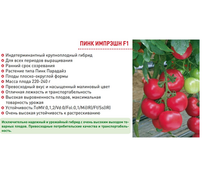  Пинк Импрэшн F1 (TM 10739) - семена томатов, 50 и 500 семян, Sakata seeds/Саката сидз (Япония), фото 4 