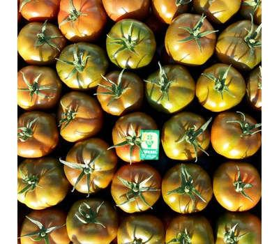  Сашер F1 - семена томатов, 500 и 1 000 семян, Yuksel/Юксел (Турция), фото 6 