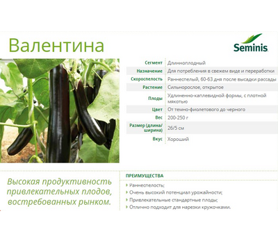 Валентина F1 - семена баклажана, 1 000 семян,  Seminis/Семинис (Голландия), фото 4 
