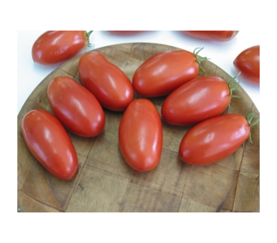  Хайпил 108 F1 - томат детерминантный, 1 000 семян, Seminis/Семинис (Голландия), фото 2 