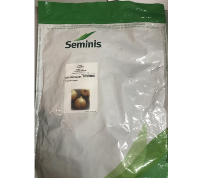  Кэнди F1 - семена лука репчатого, 250 000 семян, Seminis/Семинис (Голландия), фото 2 