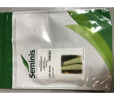  Искандер F1 - семена кабачка, 500 и 1 000 семян, Seminis/Семинис (Голландия), фото 2 