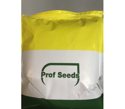  Алексий - семена перца сладкого, 10 000 и 50 000 семян, Prof Seeds, фото 3 