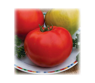  Джина ТСТ - семена томатов, 5 гр, Поиск (Россия), фото 1 