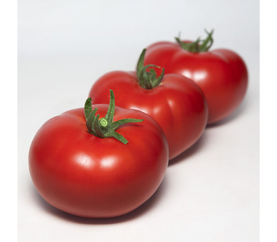  KS 301 F1 - семена томатов, Kitano seeds/Китано сидз (Япония), фото 2 