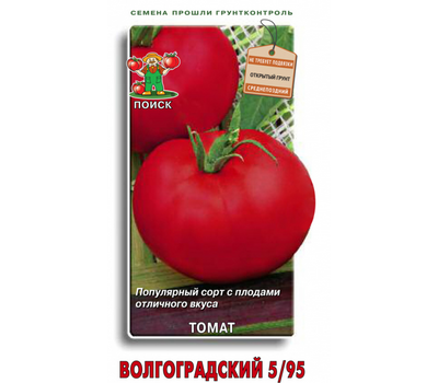  Волгоградский 5/95 - семена томатов, 50 и 500 гр.(банка), Поиск (Россия), фото 2 