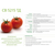  СВ 5215 ТД F1 - томат детерминантный, 1 000 семян, Seminis/Семинис (Голландия), фото 2 