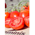  Жаг 8810 F1 - томат детерминантный, 1 000 семян, Seminis (Семинис) Голландия, фото 2 