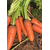  Абако F1 - семена моркови, 1 000 000 семян, (фр. от 1,6 до 2,0 и выше), Seminis/Семинис (Голландия), фото 4 