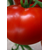  Биг Биф F1 - томат индетерминантный, 500 и 1 000 семян, Seminis/Семинис (Голландия), фото 3 