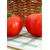  Дебют F1 - томат детерминантный, 1 000 семян, Seminis/Семинис (Голландия), фото 3 