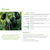  Эпик F1 - семена баклажана, 1 000 семян, Seminis/Семинис (Голландия), фото 2 