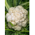  Фридом F1 - капуста цветная, 1 000 и 2 500 семян, Seminis/Семинис (Голландия), фото 5 