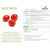  Жаг 8810 F1 - томат детерминантный, 1 000 семян, Seminis (Семинис) Голландия, фото 4 