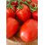  Яки F1 - томат детерминантный, 1 000 семян, Seminis/Семинис (Голландия), фото 2 