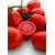 Яки F1 - томат детерминантный, 1 000 семян, Seminis/Семинис (Голландия), фото 3 