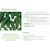  Корентин F1 - огурец партенокарпический, 250 и 1 000 семян, Seminis/Семинис (Голландия), фото 2 