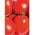  Одиль F1 - томат детерминантный, 1 000 и 25 000 семян, Seminis/Семинис (Голландия), фото 2 