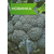  Стилл F1 - семена капусты брокколи, 1 000 семян, Seminis/Семинис (Голландия), фото 2 