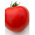  Таня F1- томат детерминантный, 1 000 семян, Seminis/Семинис (Голландия), фото 4 