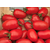  Торквей F1 - томат детерминантный, 1 000 семян,  Bejo/Бейо (Голландия), фото 2 