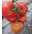  Агилис F1 - семена томатов, 500 семян, Enza Zaden/Энза Заден (Голландия), фото 2 