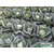  Канаяма F1 (Акира F1) - семена капусты белокочанной, Kitano seeds/Китано сидз (Япония), фото 2 