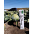  Сторкинг F1 (14004 F1) - семена капусты белокочанной, 2 500 семян, Greentime/Гринтайм (Испания), фото 5 