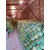  Сторкинг F1 (14004 F1) - семена капусты белокочанной, 2 500 семян, Greentime/Гринтайм (Испания), фото 8 