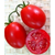  Одиль F1 - томат детерминантный, 1 000 и 25 000 семян, Seminis/Семинис (Голландия), фото 1 